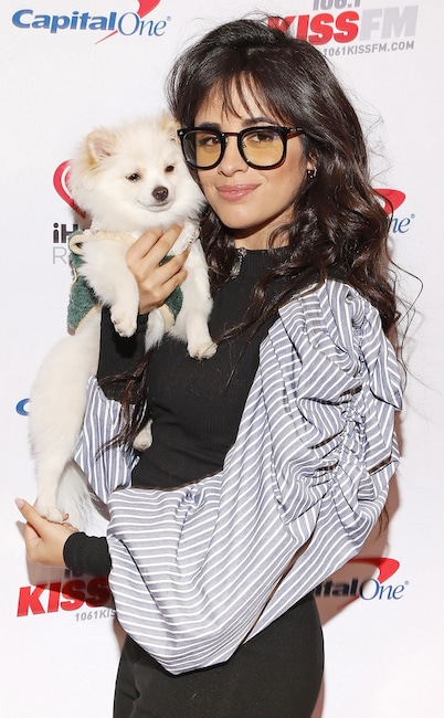 Camila Cabello, dog, Eugene, National Puppy Day 2020